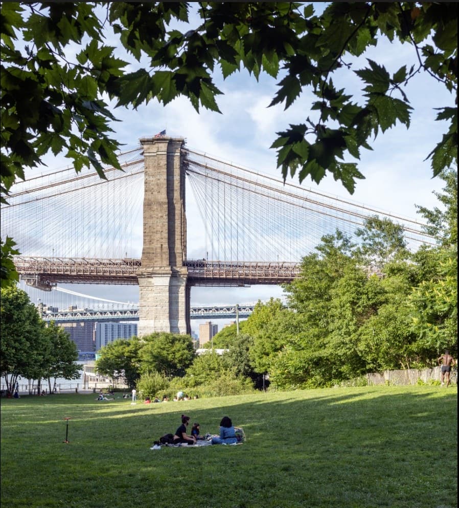 Picnic on the lawn in Brooklyn Bridge Park with the bridge behind
