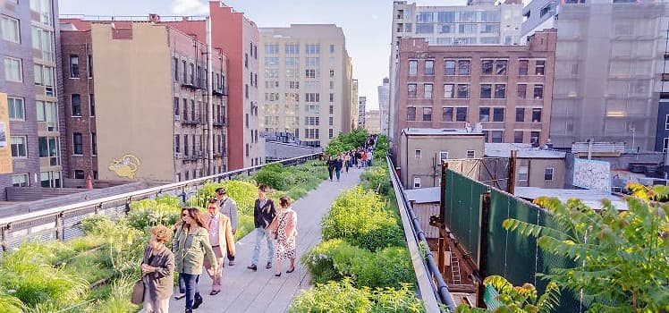 Crowded High Line walkway lined with gardens and city buildings